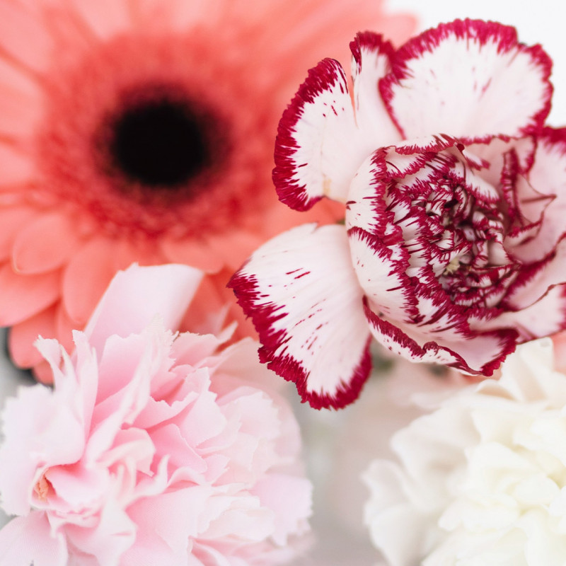 Youthful Radiance Mask